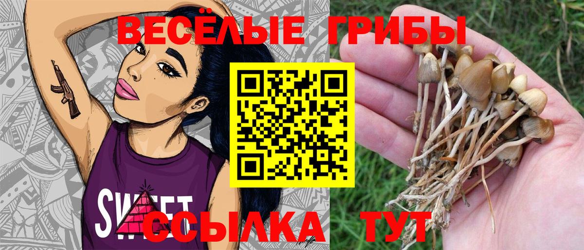 Галлюциногенные грибы мицелий  Вход с VPN  где продают   Новокубанск 